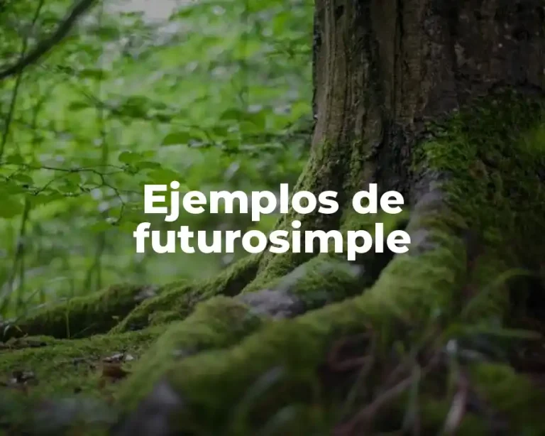 Ejemplos de futurosimple
