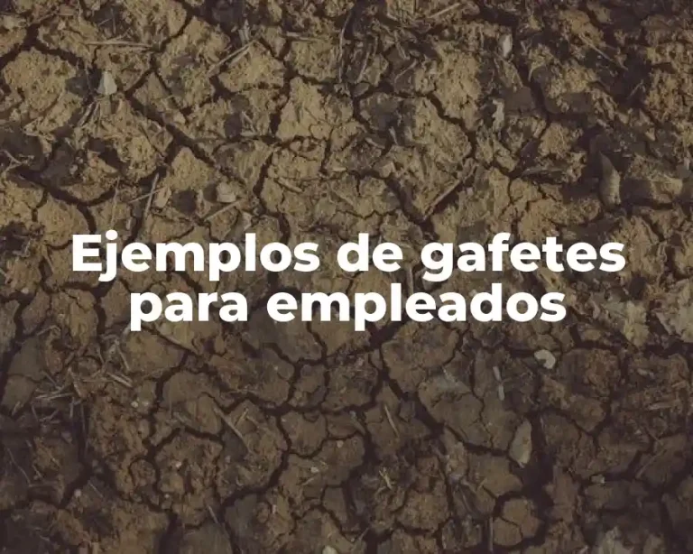 Ejemplos de gafetes para empleados