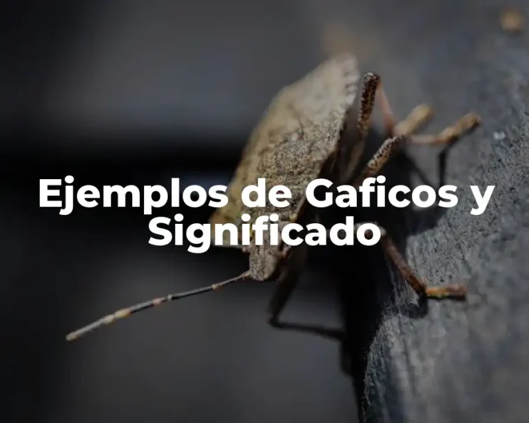 Ejemplos de Gaficos y Significado