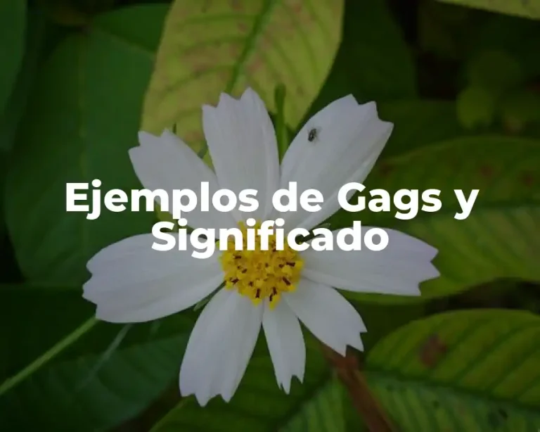 Ejemplos de Gags y Significado