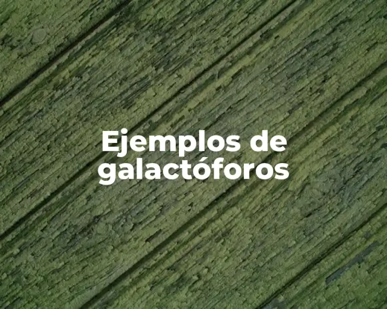 Ejemplos de galactóforos