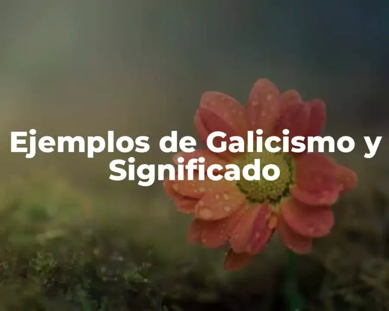 Ejemplos de Galicismo y Significado