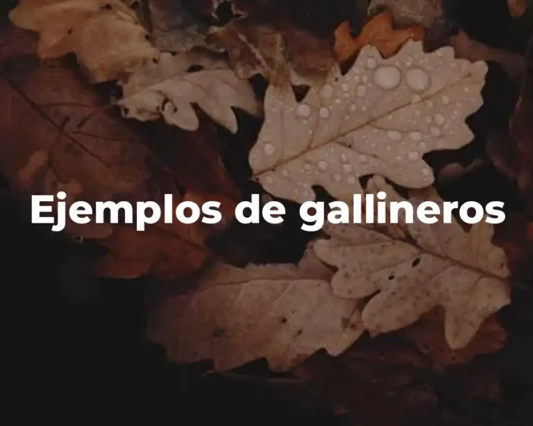 Ejemplos de gallineros