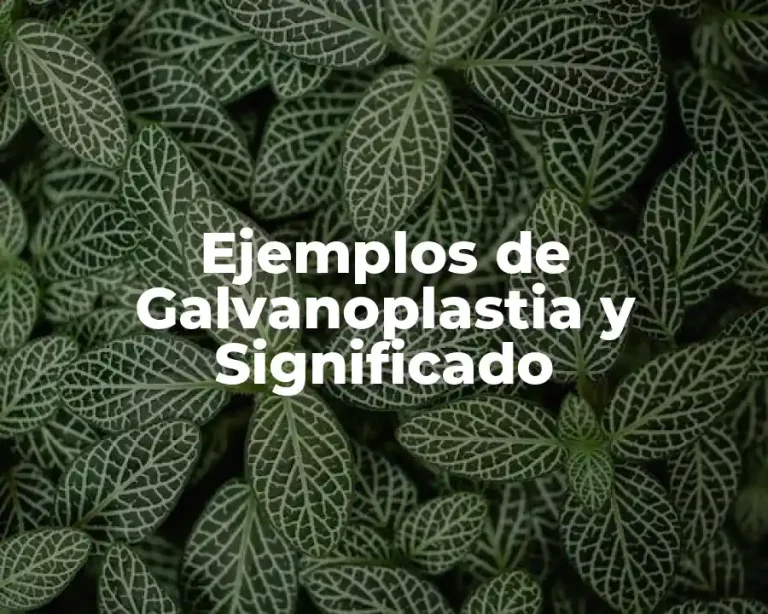 Ejemplos de Galvanoplastia y Significado