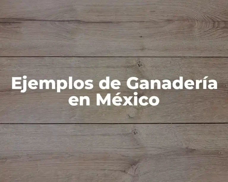 Ejemplos de Ganadería en México