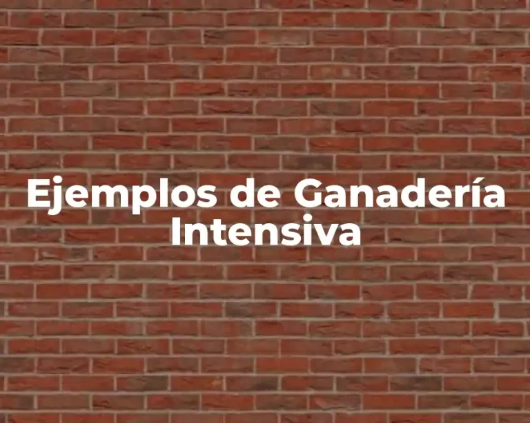 Ejemplos de Ganadería Intensiva