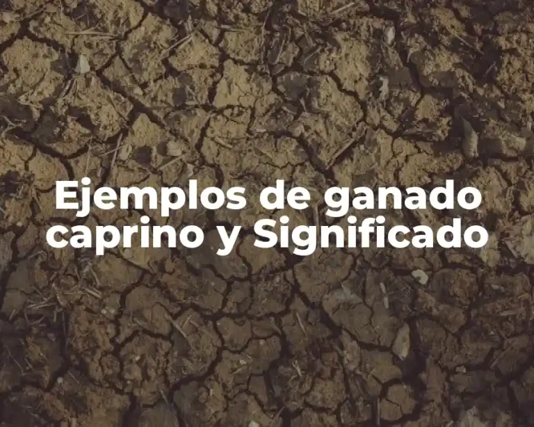 Ejemplos de ganado caprino y Significado