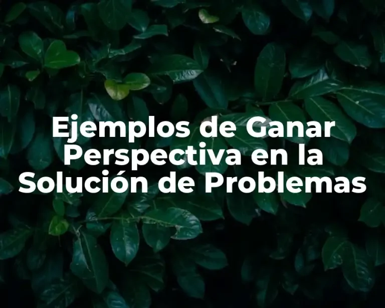 Ejemplos de Ganar Perspectiva en la Solución de Problemas