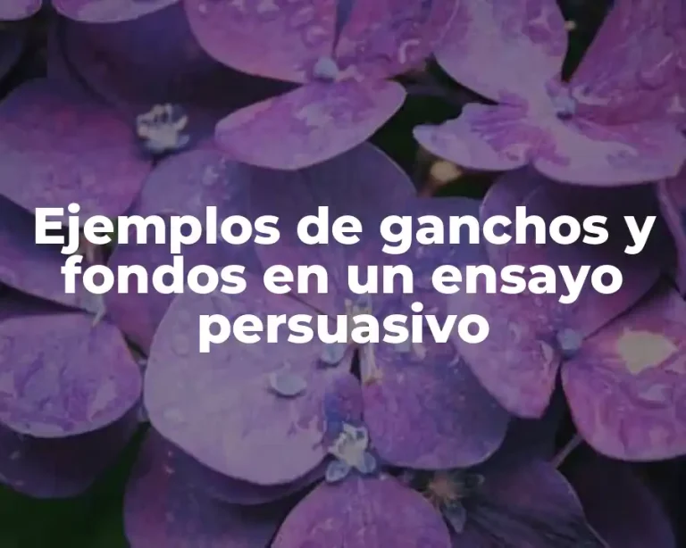 Ejemplos de ganchos y fondos en un ensayo persuasivo