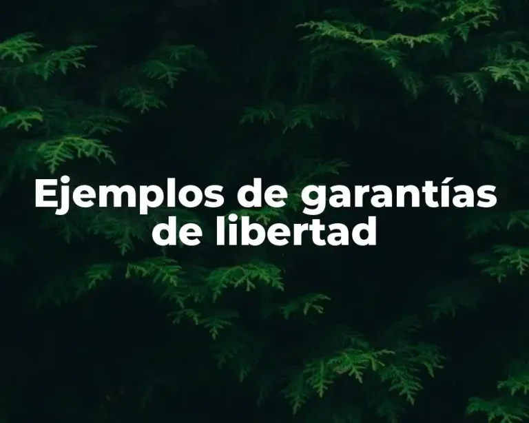 Ejemplos de garantías de libertad