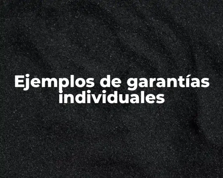 Ejemplos de garantías individuales