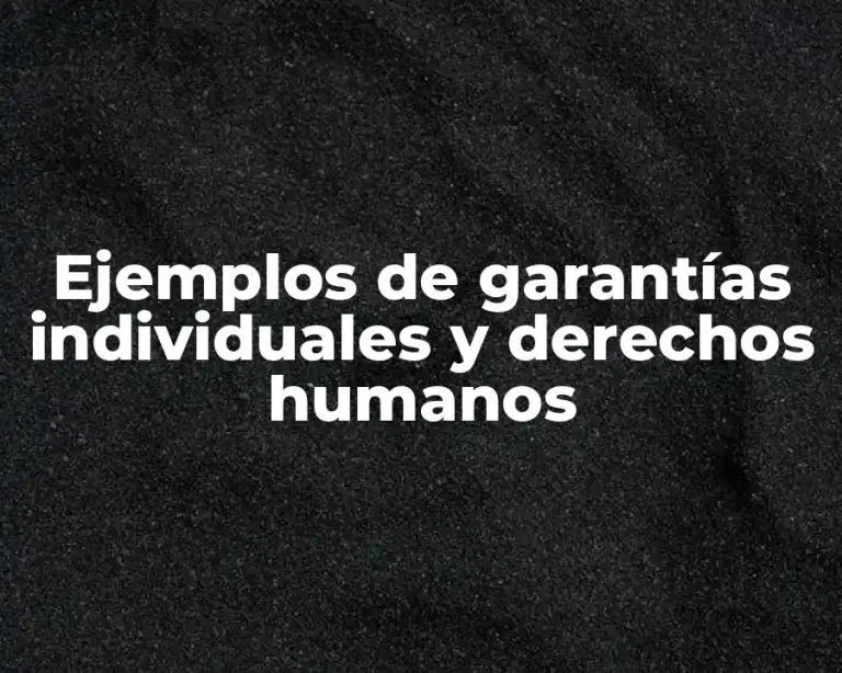 Ejemplos de garantías individuales y derechos humanos