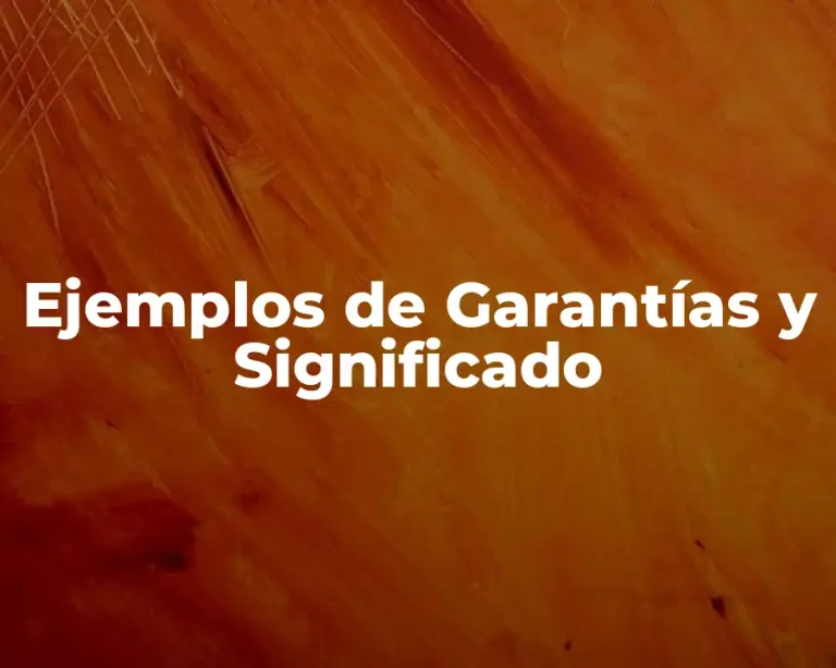 Ejemplos de Garantías y Significado