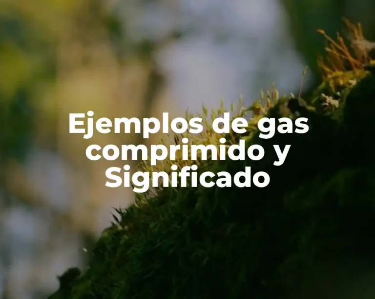 Ejemplos de gas comprimido y Significado