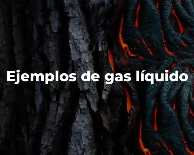 Ejemplos de gas líquido