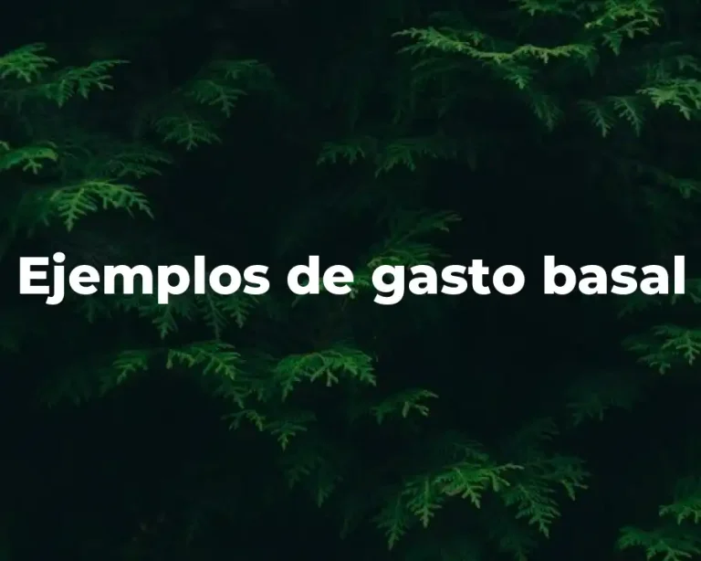 Ejemplos de gasto basal