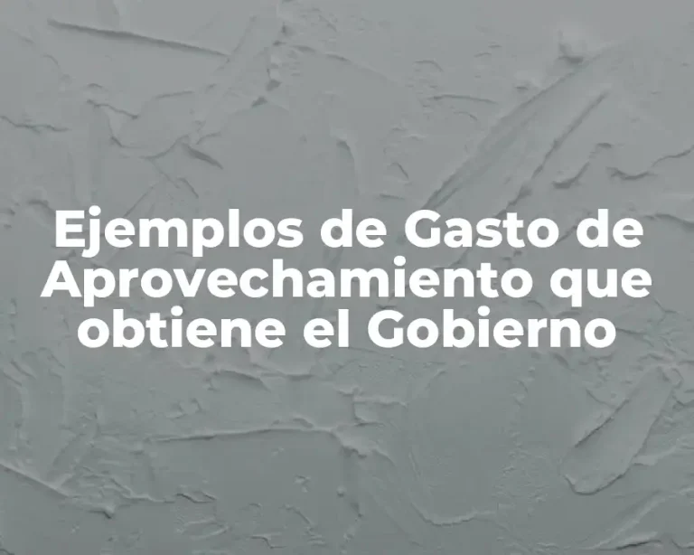 Ejemplos de Gasto de Aprovechamiento que obtiene el Gobierno