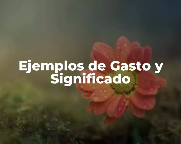 Ejemplos de Gasto y Significado