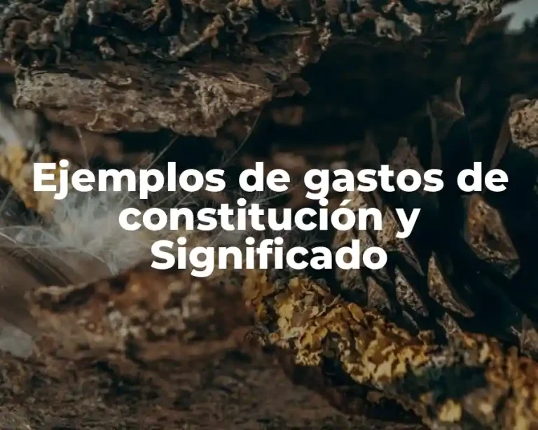Ejemplos de gastos de constitución y Significado