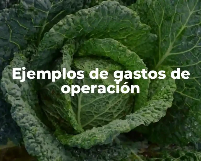 Ejemplos de gastos de operación