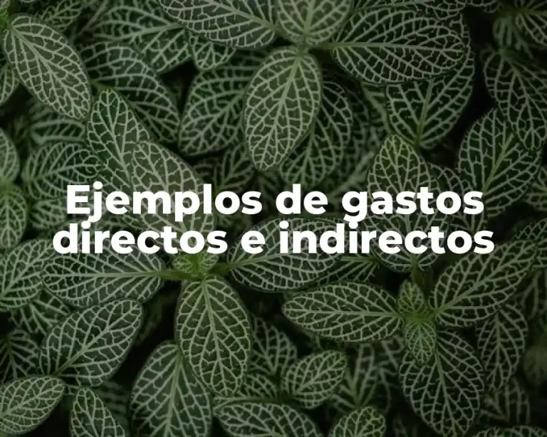Ejemplos de gastos directos e indirectos