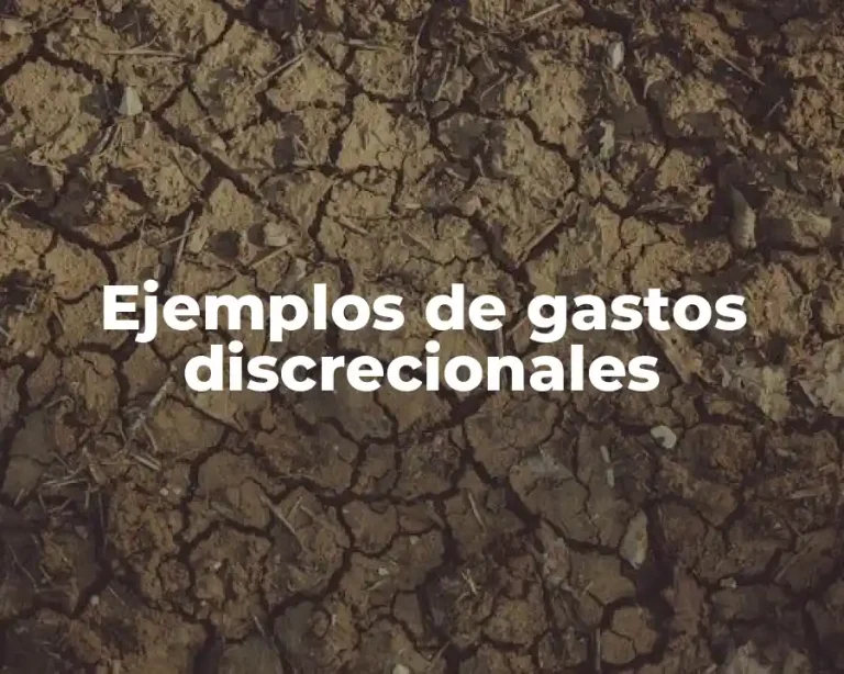 Ejemplos de gastos discrecionales