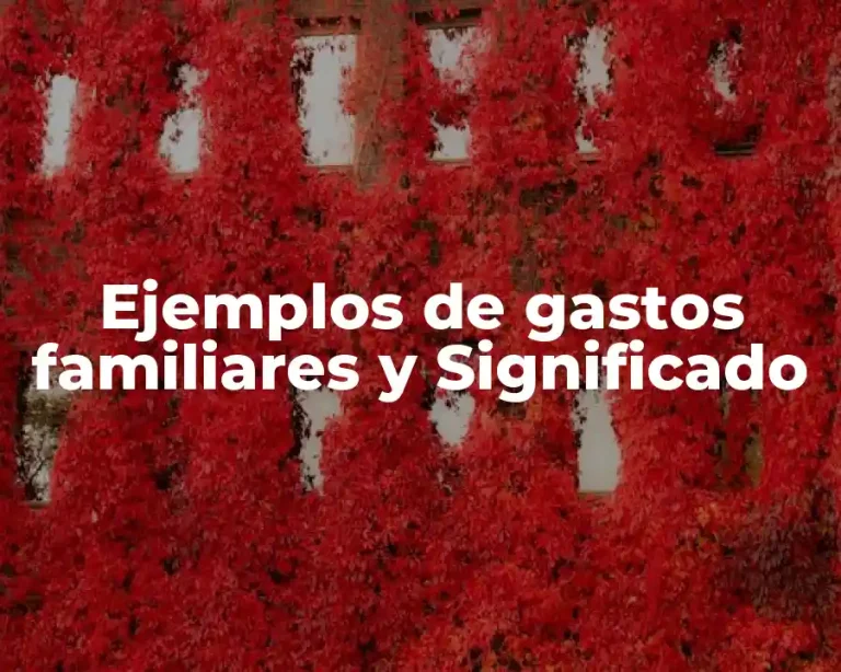 Ejemplos de gastos familiares y Significado