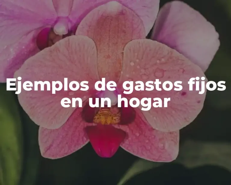 Ejemplos de gastos fijos en un hogar