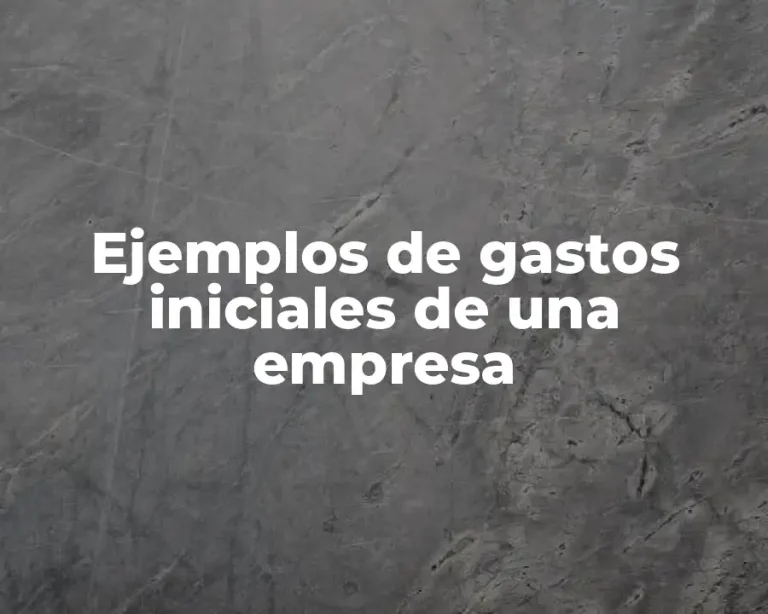 Ejemplos de gastos iniciales de una empresa