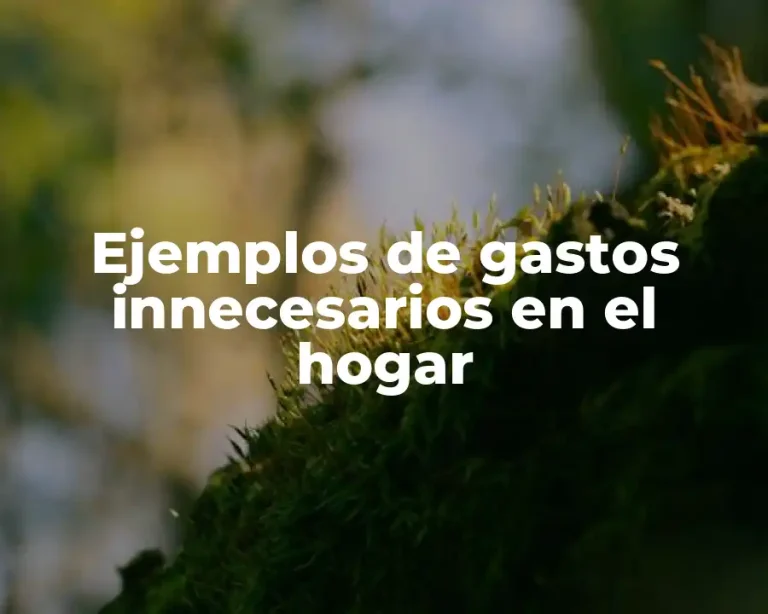 Ejemplos de gastos innecesarios en el hogar