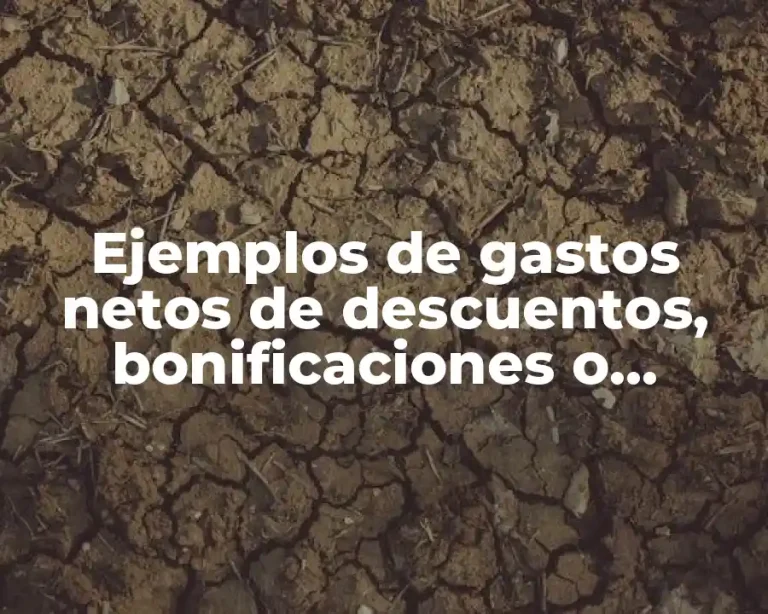 Ejemplos de gastos netos de descuentos, bonificaciones o devoluciones