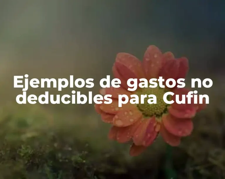 Ejemplos de gastos no deducibles para Cufin