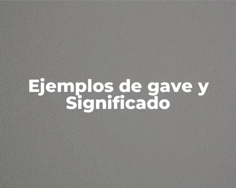 Ejemplos de gave y Significado
