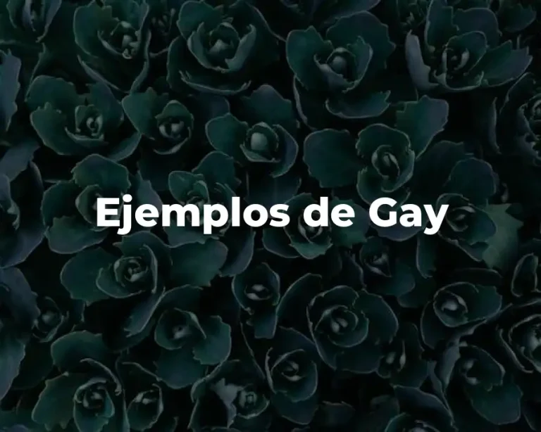 Ejemplos de Gay