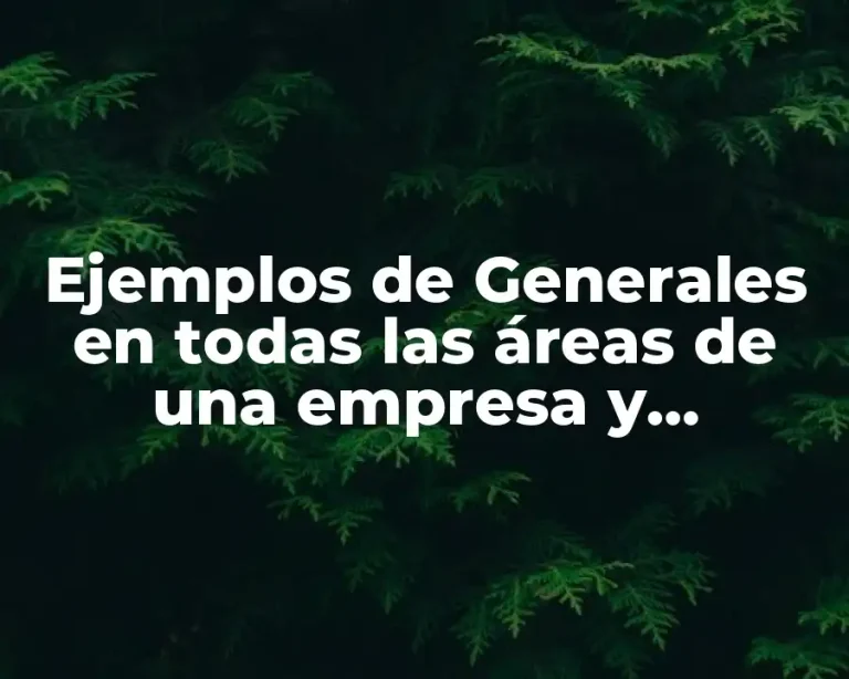 Ejemplos de Generales en todas las áreas de una empresa y Significado