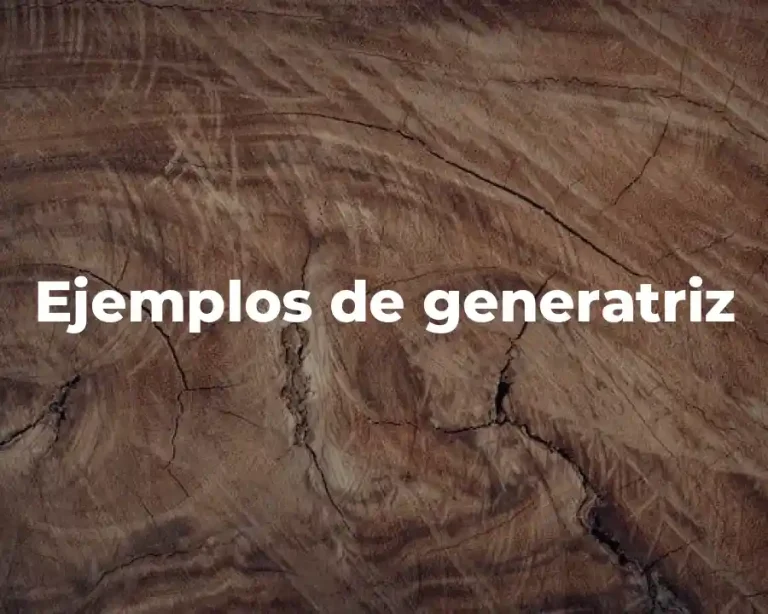Ejemplos de generatriz