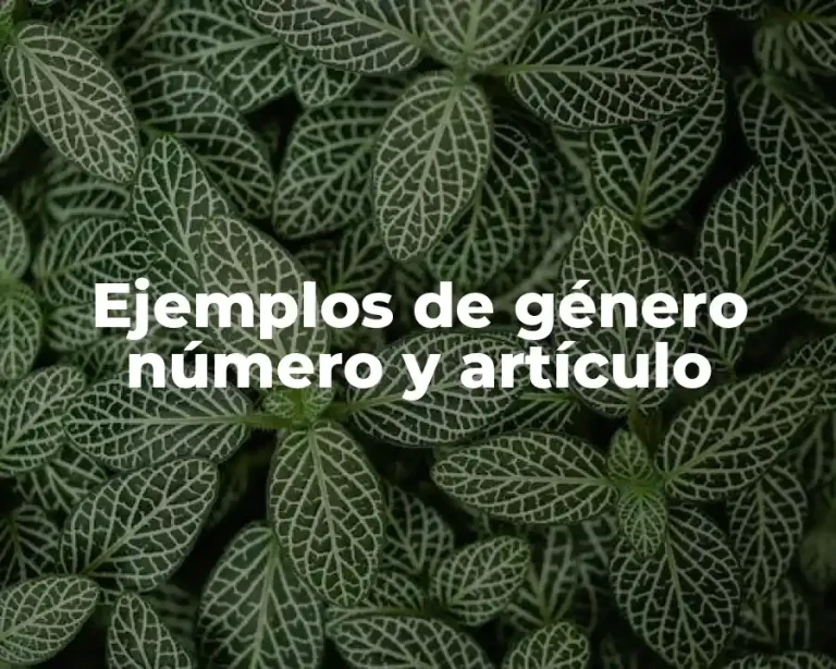 Ejemplos de género número y artículo