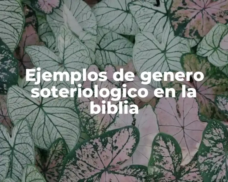 Ejemplos de genero soteriologico en la biblia