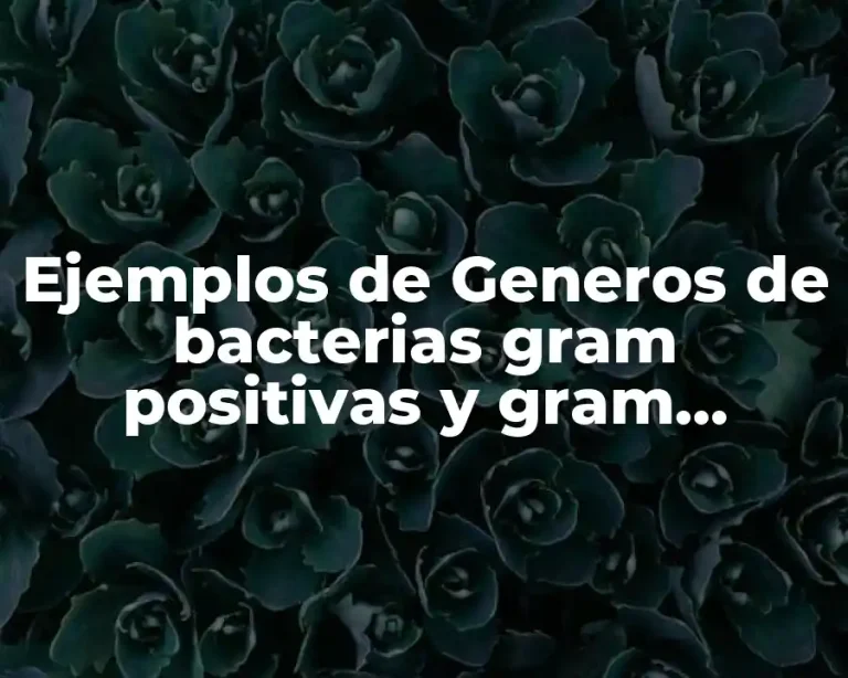 Ejemplos de Generos de bacterias gram positivas y gram negativas