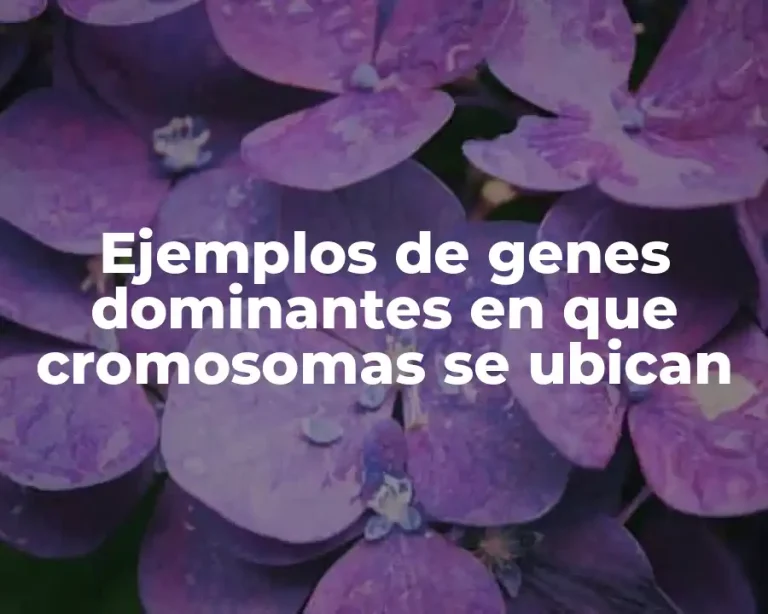 Ejemplos de genes dominantes en que cromosomas se ubican