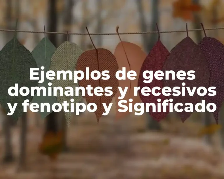 Ejemplos de genes dominantes y recesivos y fenotipo y Significado