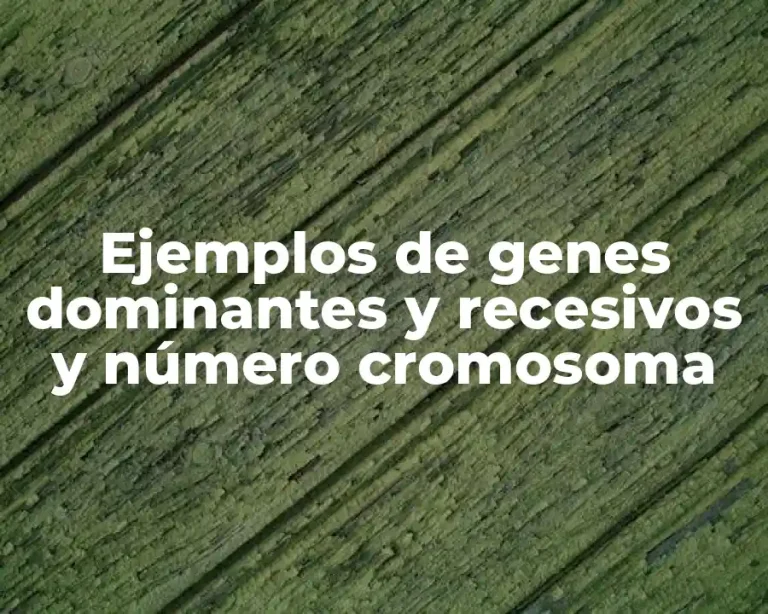 Ejemplos de genes dominantes y recesivos y número cromosoma