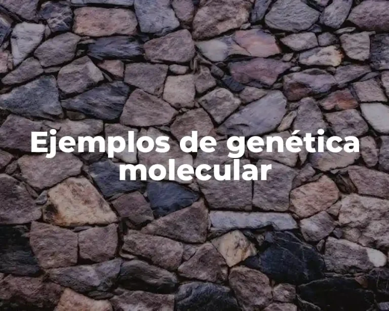 Ejemplos de genética molecular