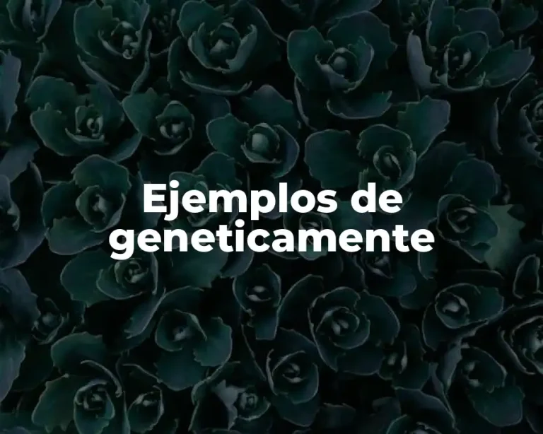 Ejemplos de geneticamente