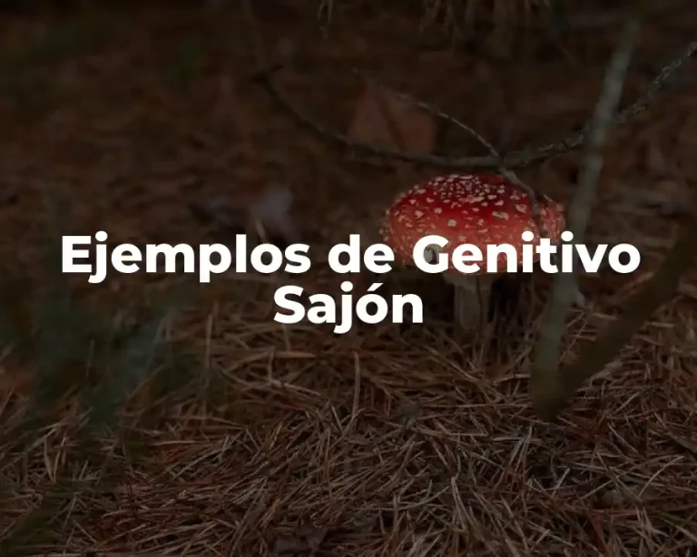Ejemplos de Genitivo Sajón