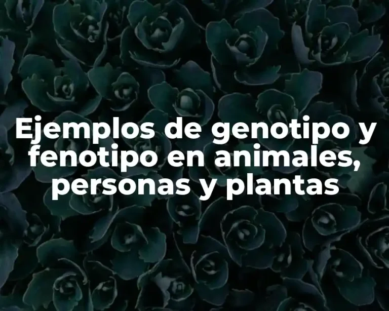 Ejemplos de genotipo y fenotipo en animales, personas y plantas