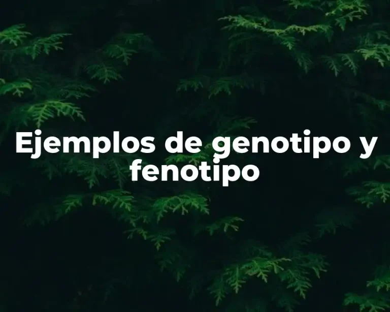 Ejemplos de genotipo y fenotipo