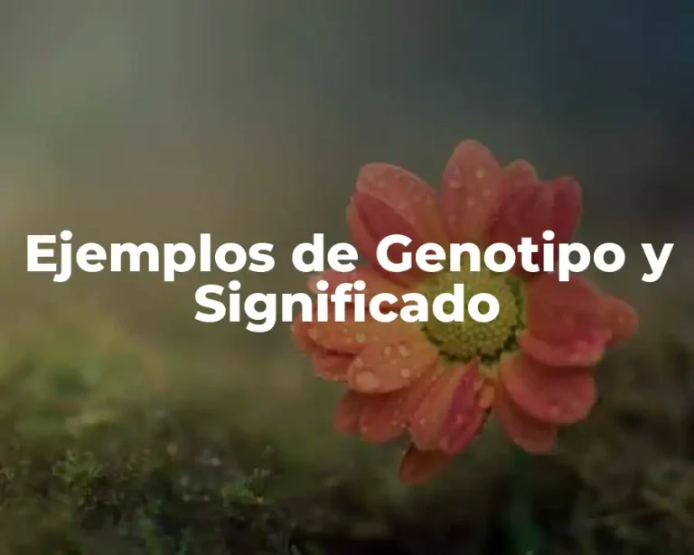 Ejemplos de Genotipo y Significado