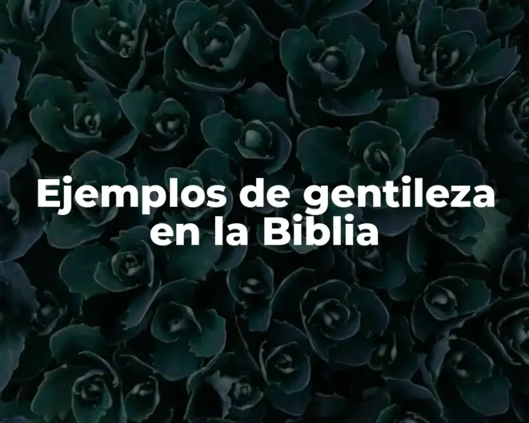 Ejemplos de gentileza en la Biblia