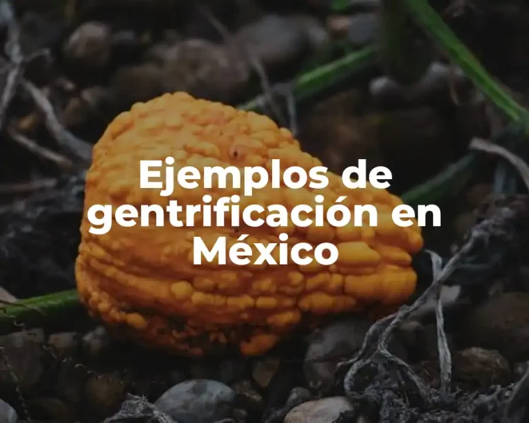 Ejemplos de gentrificación en México